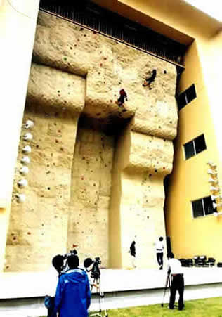 Modular Panel Rock Climbing wall